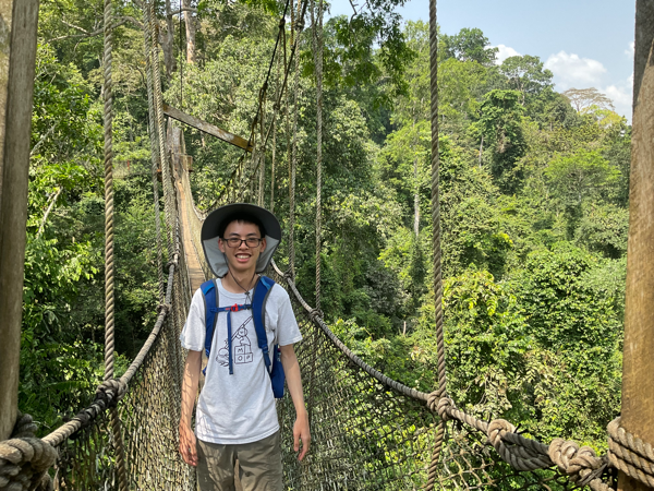 Canopy walk