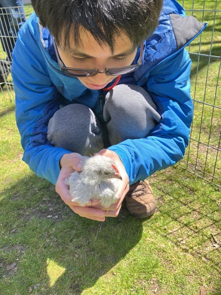 Me holding a chicken