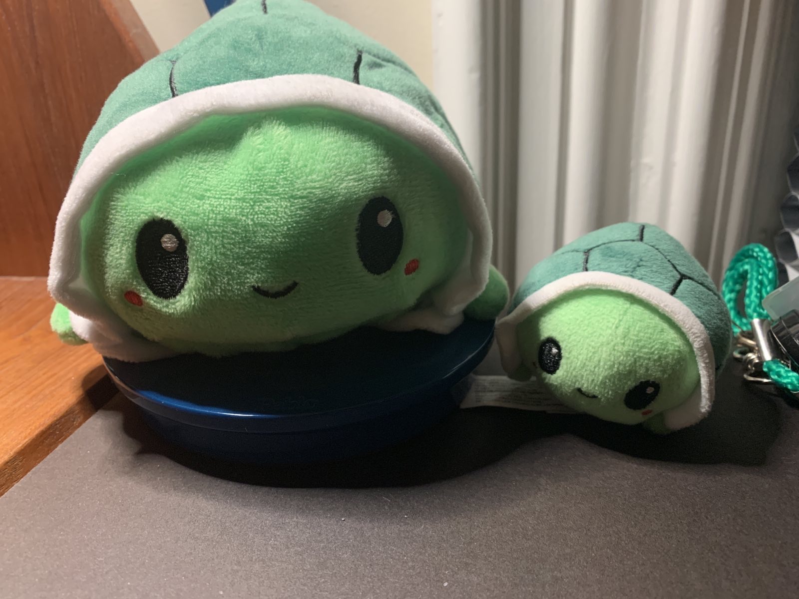 Turtle plushies